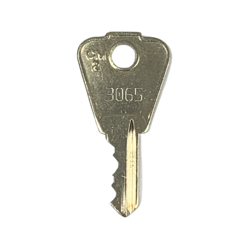 3065 switch key